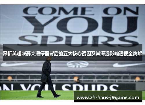 深析英超联赛突遭停摆背后的五大核心诱因及其深远影响透视全貌解