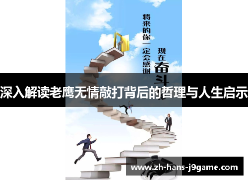 深入解读老鹰无情敲打背后的哲理与人生启示