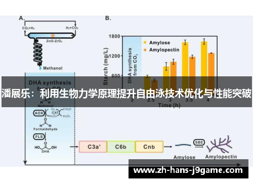 潘展乐：利用生物力学原理提升自由泳技术优化与性能突破