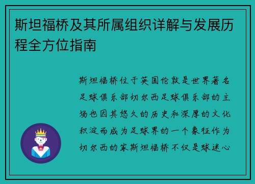 斯坦福桥及其所属组织详解与发展历程全方位指南
